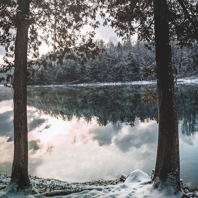 lovestitchla's tweet image. It's up to you to see the beauty of everyday things. 🙏 #regram @rusticbones #winterreflection #reflection #lake #lovestitch #foodforthought