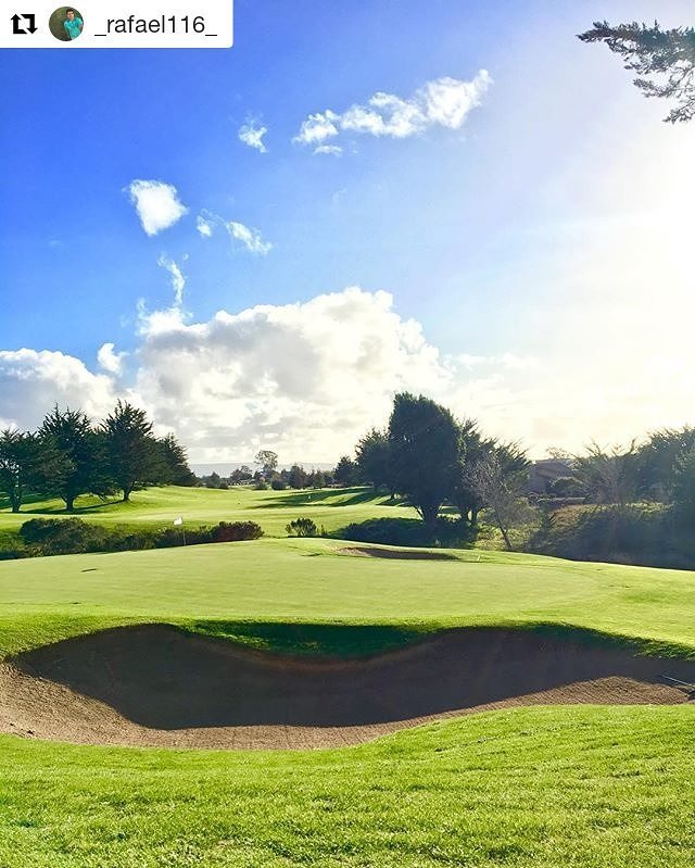 cypressridge's tweet photo. Thanks Rafael for capturing a great shot of #12 green. Hope you enjoyed your round at Cypr… https://t.co/hjToJnNlu6 https://t.co/2Od36ORc3h