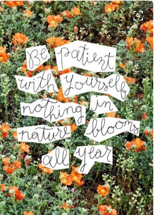 quý hoa event (@quyhoaevent) on Twitter photo 