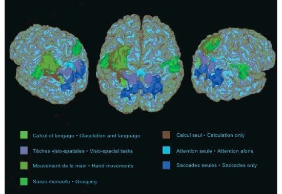 Curebot_io's tweet photo. 4 piliers de l #apprentissage
plasticité du cerveau, recyclage des zones cognitives par @StanDehaene via @tupies https://t.co/zEPubBWDhG https://t.co/2hOKQT09fV