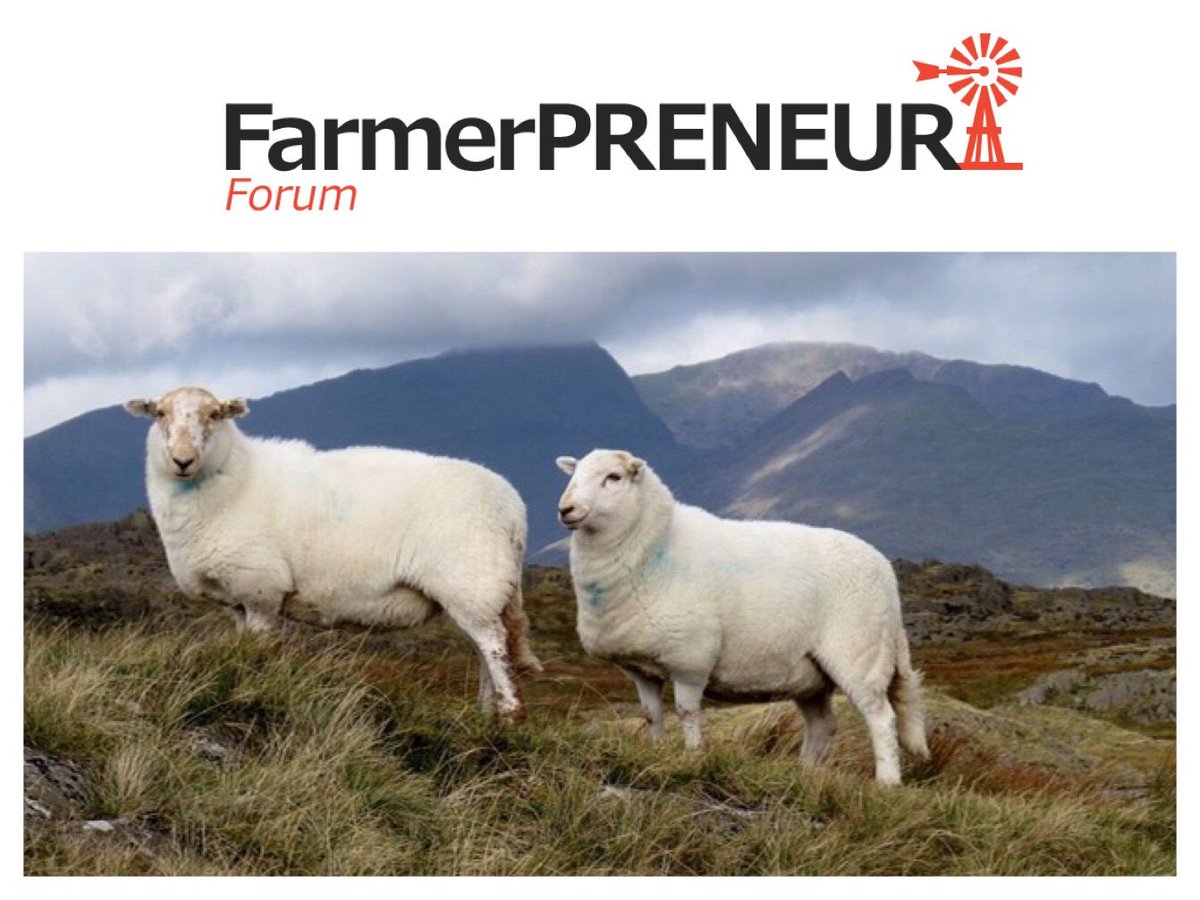 Welsh meat industry urged to show 'greatest resilience, agility and adaptability' in likely volatile year

#Farming

bit.ly/2izDooN