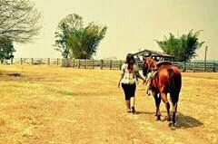 Eu e meus lindos cavalos
