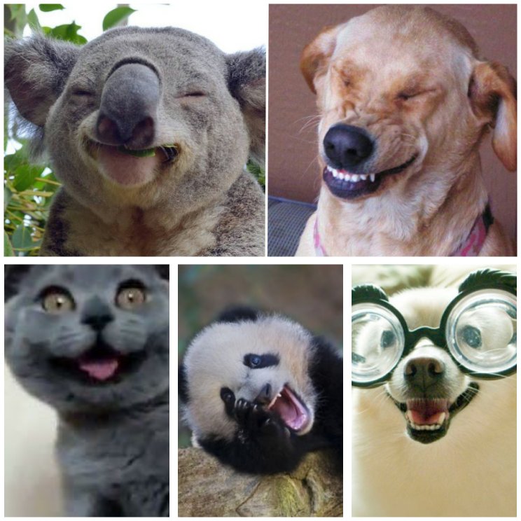 Easier said than done, but don't worry, be happy!  💜