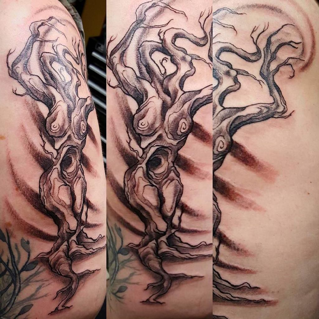Tattoo style illustration of a Twisted Oak Tree without leaves and Branch  forming into Heart and roots done in hand sketch drawing Tattoo Stock Photo   Alamy