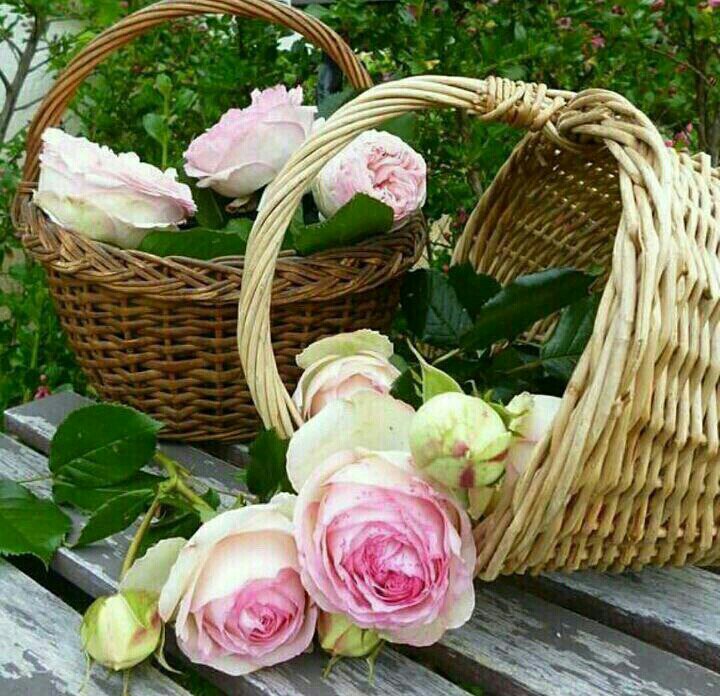 zx_____x's tweet photo. ننام بدون حـبوب مهدئة 
ولا ابر مشـبوكة بأجسادنا 
 ولا أجهـزة تراقب نبضات قلوبنا..
ألا يستحـق هذا
 أن نحـمد الله ونـشكره 
الحمدلله على العافي https://t.co/zg7zZaQRI6