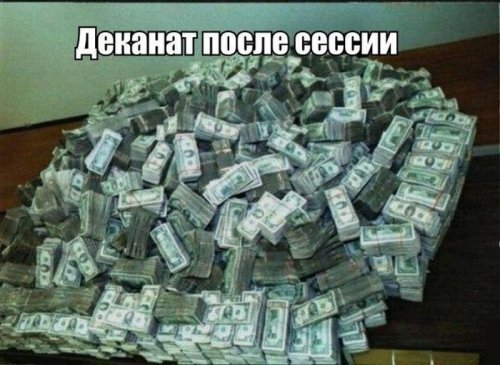 Humor1231 tweet picture