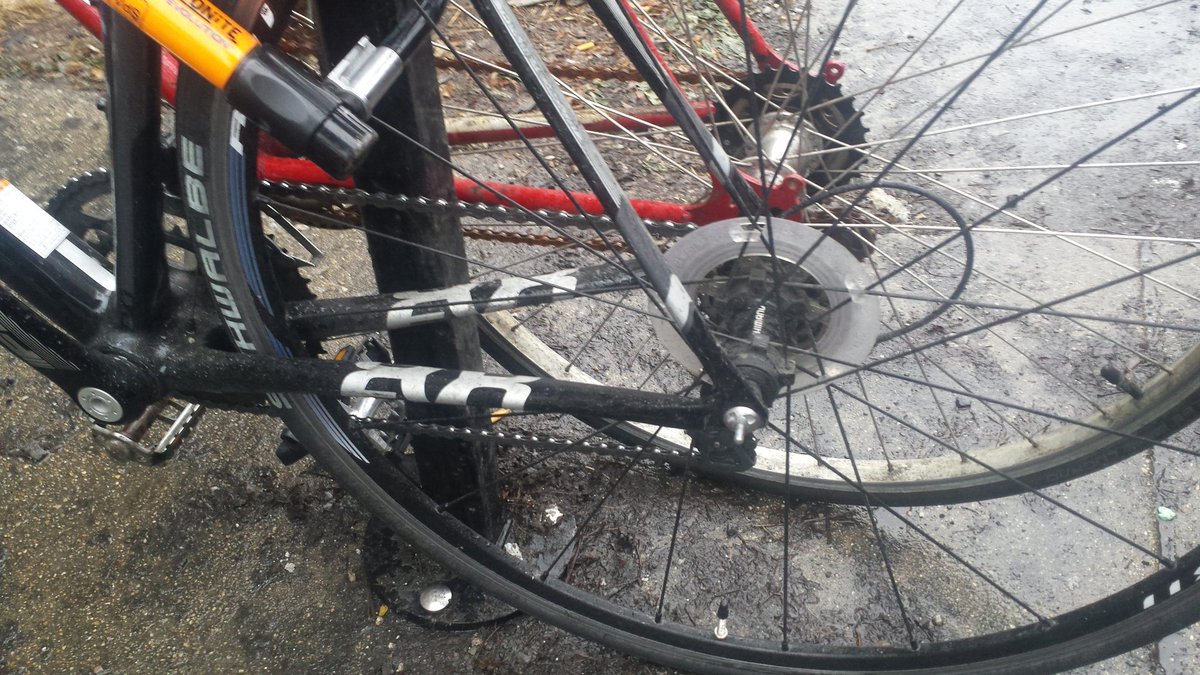 cutcatschicago's tweet photo. Keep that new bike on the road w/ @PinheadLock #completebikesecurity #classycommuter #bikeCHI https://t.co/tDLAz4u1r2