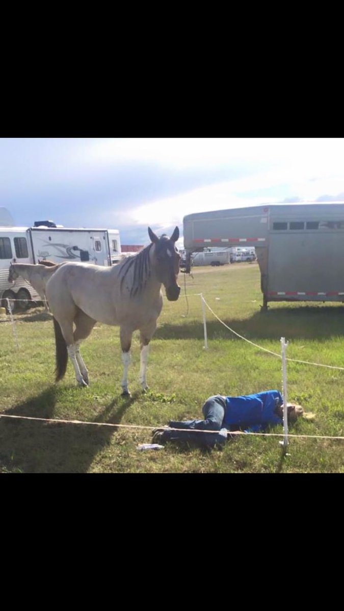 Rodeo Life Problems tweet media