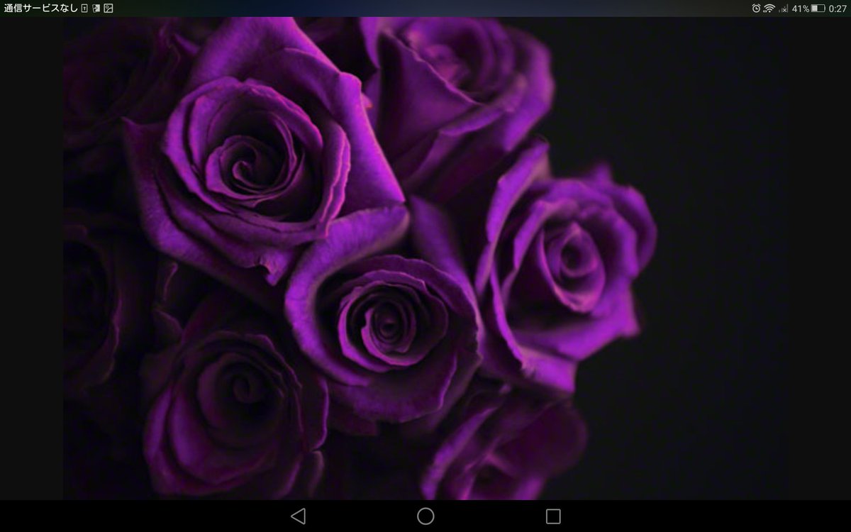 すべての花の画像 最新壁紙 薔薇 紫