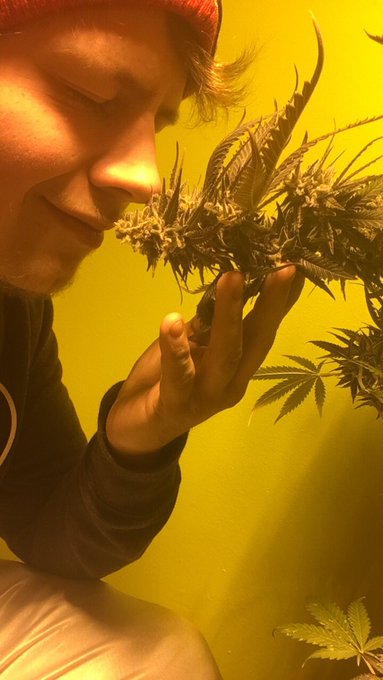 We stay high 💯 https://t.co/b4b9iu3iy5<a href="/tag/issadream"class="tags"><span>#issadream</span></a>