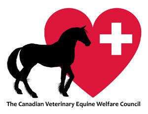 CVEWC's tweet photo. When Rescues Go Bad, Veterinarians Should Be Ready To Help https://t.co/GYMk9O0WSv https://t.co/uCVU3qEtan