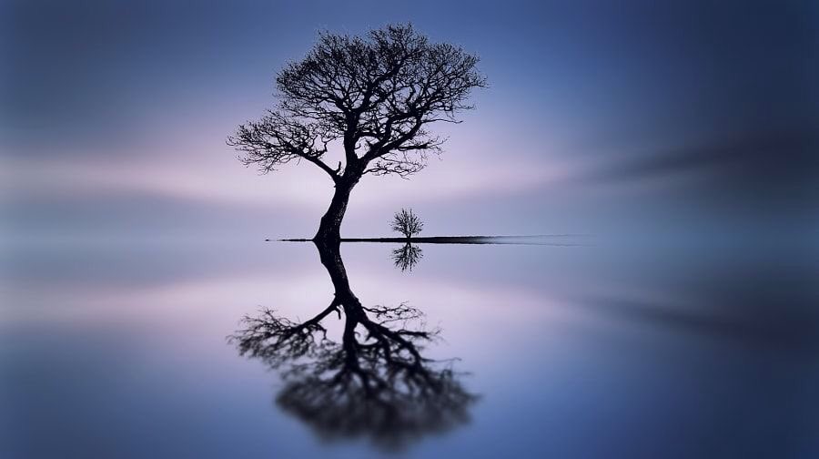 ramblingsloa's tweet photo. Let the water settle, it will become clear.

If you let your upset mind settle,
Your course will also become clear.

Buddha
Pic M Morgan https://t.co/u0wiolLoiy