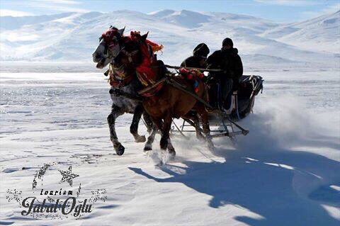 JabalogluT's tweet photo. بحيرة #جيلدير المتجمدة تجذب هواة السياحة الشتوية الذين يجوبون سطحها باستخدام زلاجات تجرها الخيول ويصطادون السمك بطريقة الإسكيم
 #Jabaloğlu https://t.co/mlYoDE9GiF