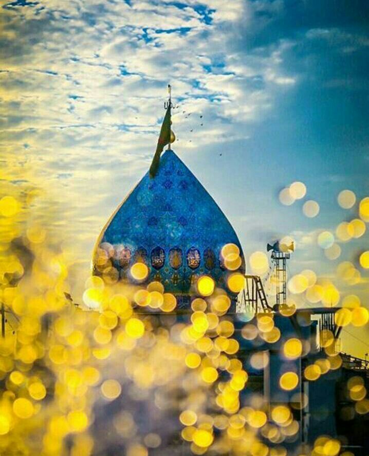 شــ͒͜ـًـ̷ـــًـًًًًٍٍـًٍـًًٍــذِىٰ⁞❉┋♩🇮🇶 tweet media