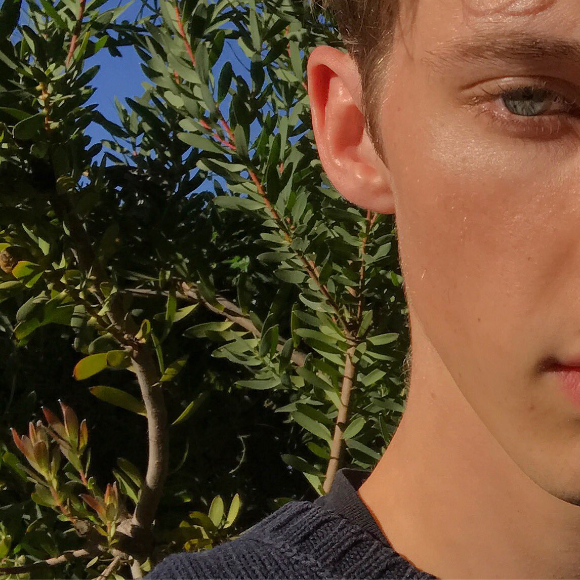 troyesivan's tweet photo. Hello from my Selfie Shoot the other day 🤔 Here to say a massive thanks n that I'm stoked to be one of @forbes' 30 Under 30 this year. https://t.co/6wL29z9WoO