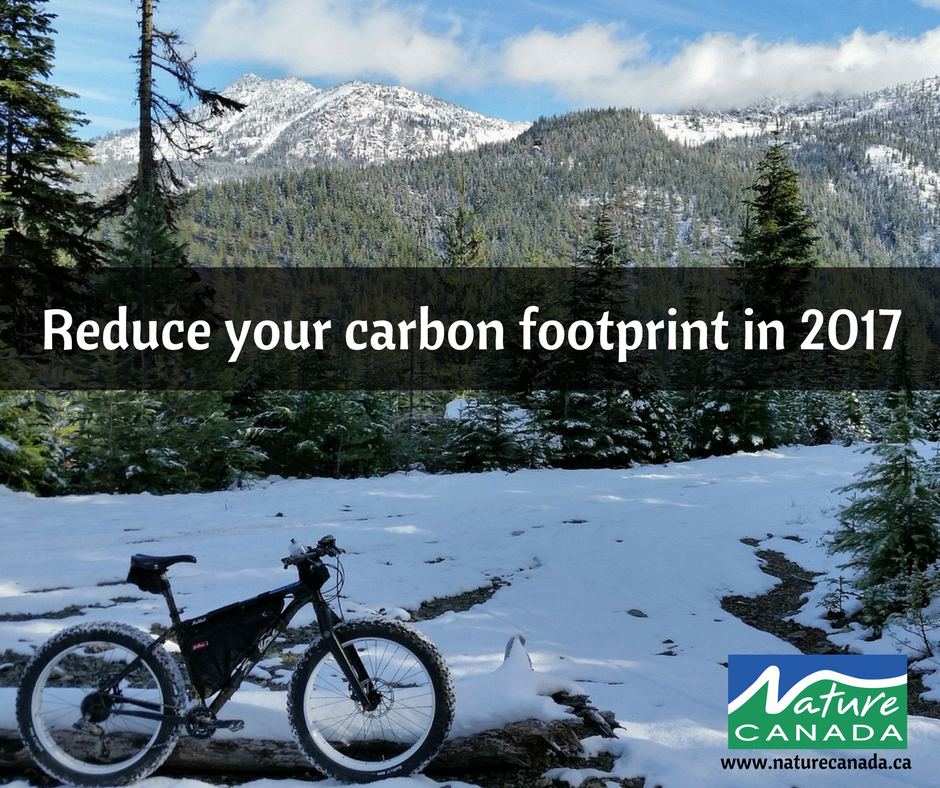 NatureCanada's tweet photo. Did you make a New Years Resolution to help the environment? We have a few easy tips on how you can start: https://t.co/nafI00tgbQ https://t.co/GRjxbfAiTm
