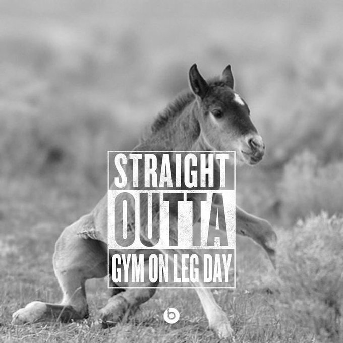 Leg day https://t.co/P5ye2unJoj<a href="/tag/fitness"class="tags"><span>#fitness</span></a><a href="/tag/healthy"class="tags"><span>#healthy</span></a><a href="/tag/sexy"class="tags"><span>#sexy</span></a><a href="/tag/progress"class="tags"><span>#progress</span></a>