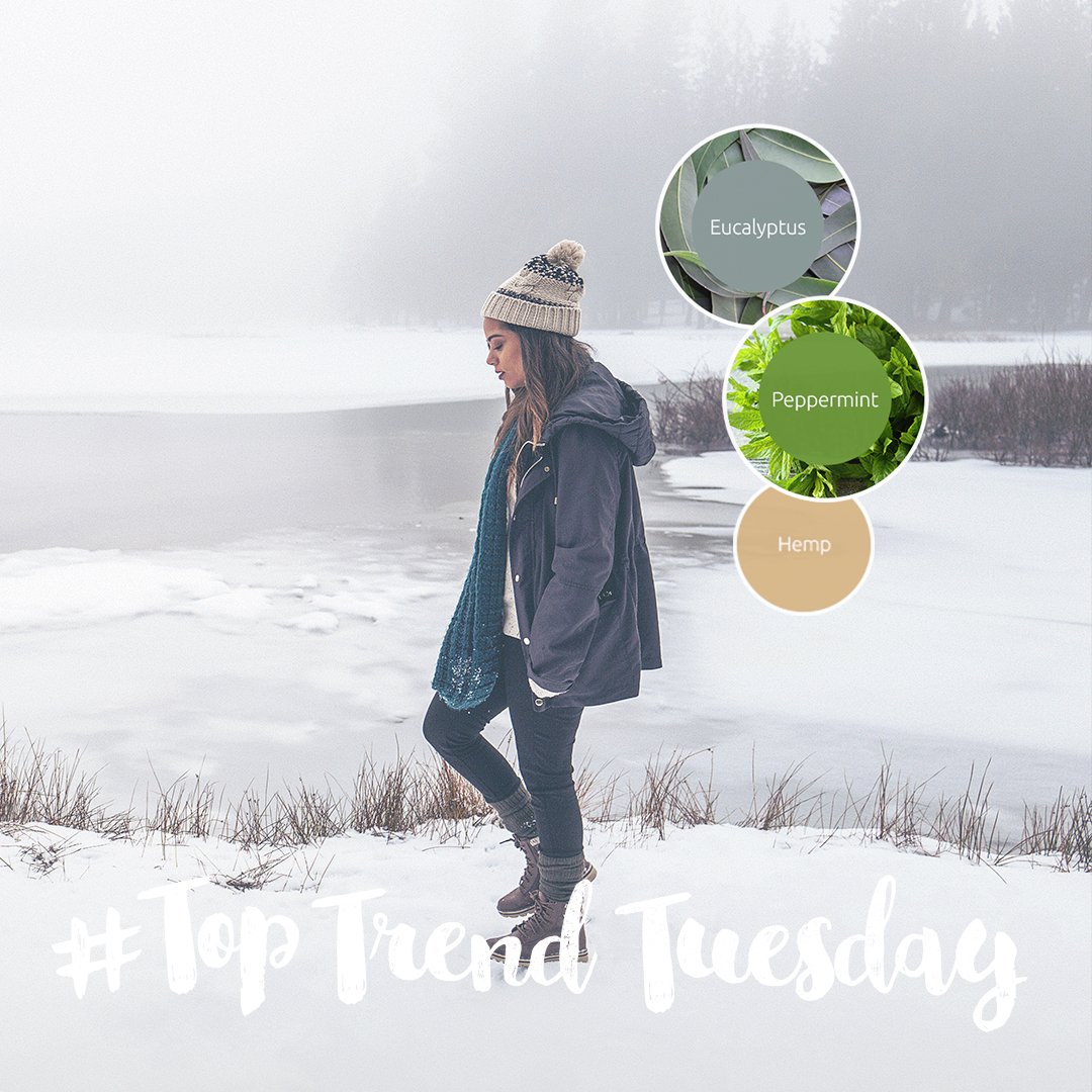 Latherology's tweet photo. #TopTrendTuesday! Eucalyptus, Peppermint &amp; Hemp. #makeyourmix #parabenfree #sulfatefree https://t.co/a4CSuH8iW8