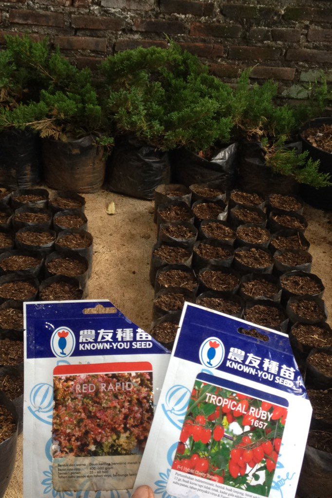 Hardy Rosady tweet media