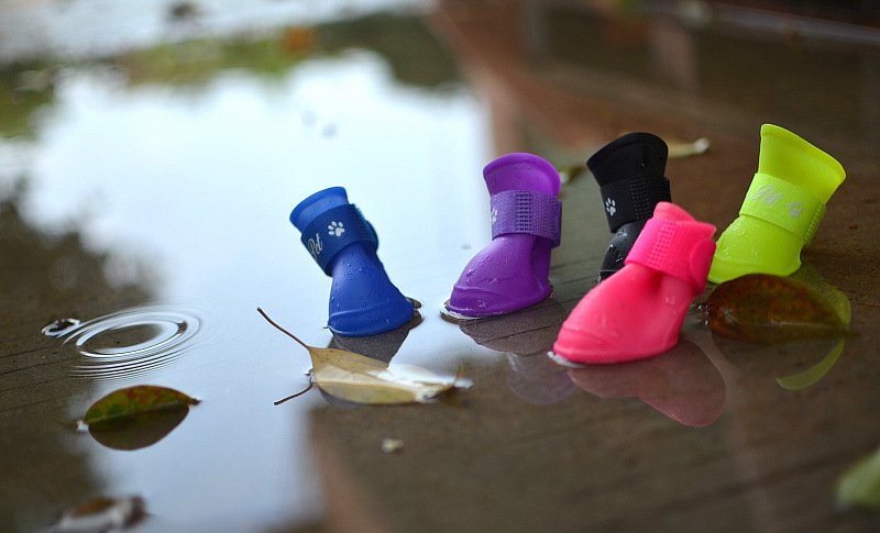 mfkbo32012's tweet photo. Cute Pet shoes, keep your Pet feets clean when rainy day. #petshoes #petsshoe https://t.co/j3qFbzNF2v