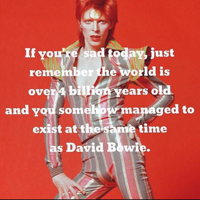Dabble_Denver's tweet image. #DAVIDBOWIE dedication #yoga class! Let’s dance…or I mean, yoga...#Denver #ThingsToDoInDenver #LetsDance #LetsDabble bit.ly/BowieYoga