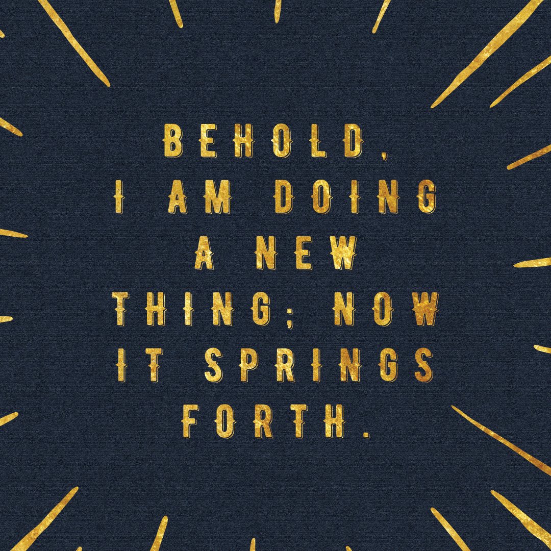 (Isaiah 43:19) Reflecting on the past four years of church-planting in NYC. Humbled and grateful to be a part of His redeeming work in NYC.