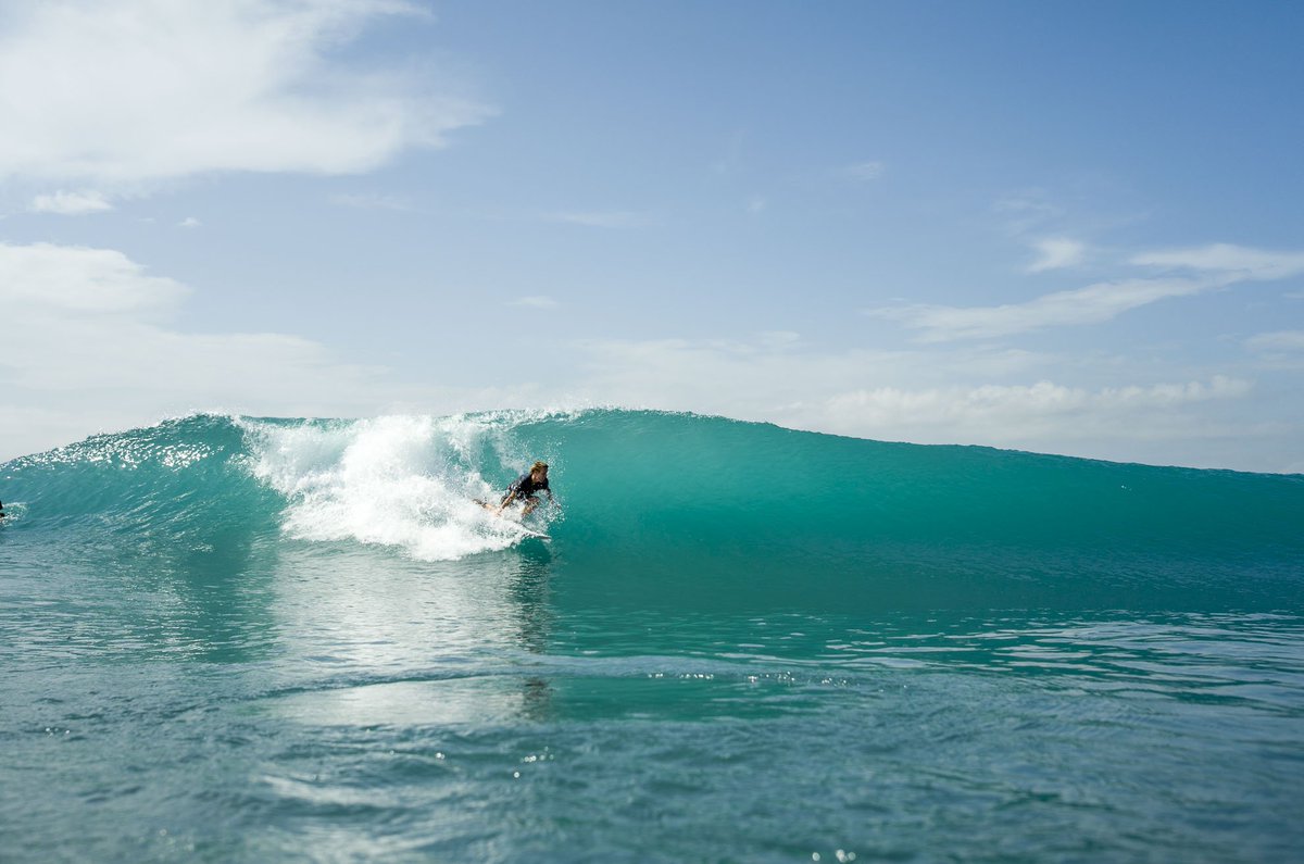 Surfer's tweet photo. Photo of the Day: Pat Gudauskas, Jamaica. Photo: Ellis https://t.co/bsy6vYejfW