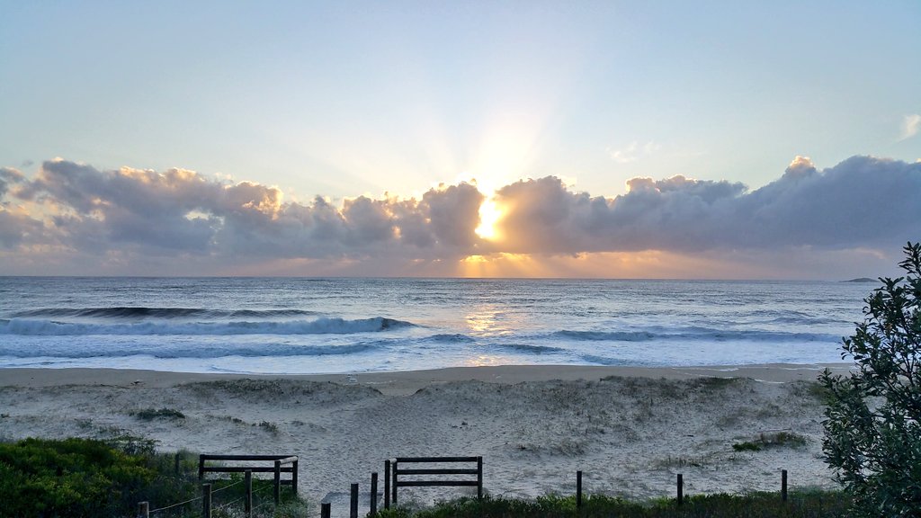 _sarinas's tweet photo. Beautiful Blue
Loving you is soulful. Unconditional
#myphoto #zenithbeach https://t.co/9qddGldNI6