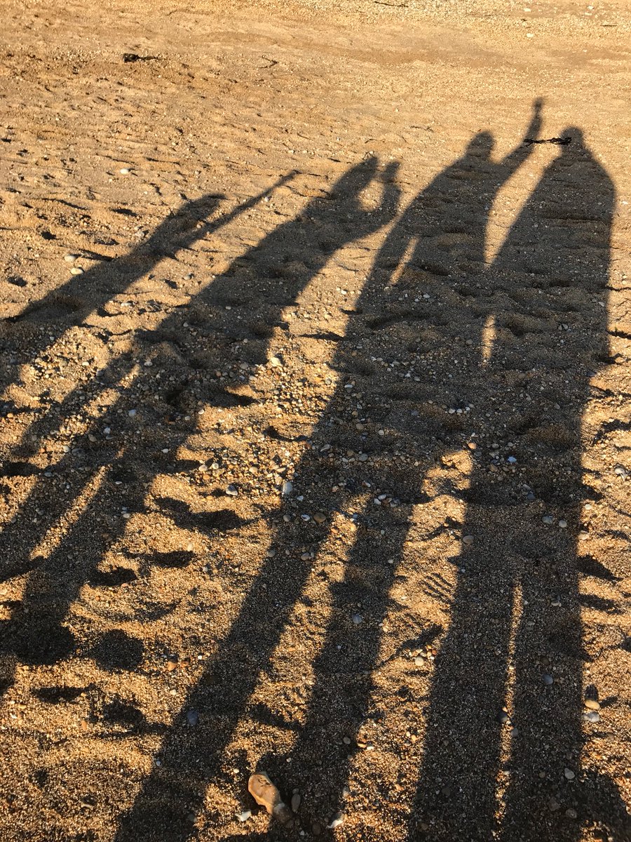 ss_architects's tweet photo. We are enjoying the winter sun. No heating bills &amp; a constant 20degrees internally #passivhaus #warmcell https://t.co/xlPcPzBENZ https://t.co/og09Wz5crY