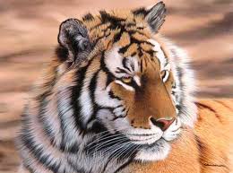 ʄօʟʟօա 

🔜🚶<a href="/GFBS17/">👦#Gust `s TFBS</a> 
🔜🚶<a href="/gust1012/">Gust`s F4F 💈10/09/75</a>
🔜🚶<a href="/XDTVI17/">Gust `s FBS 🐆</a>
FOLLOWBACK 🔛👥👥👥

Retwet &amp; Gain Followers