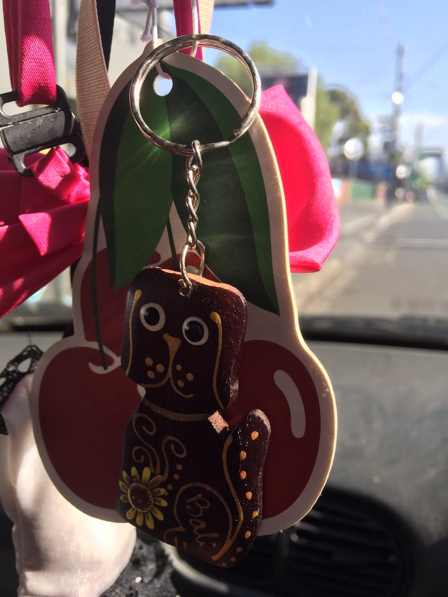 MishaStKilda's tweet photo. Thanks ππ @PawsUp4Dogs_GC #barc4balidogs #pawsup4dogs https://t.co/SOOoidYUMB