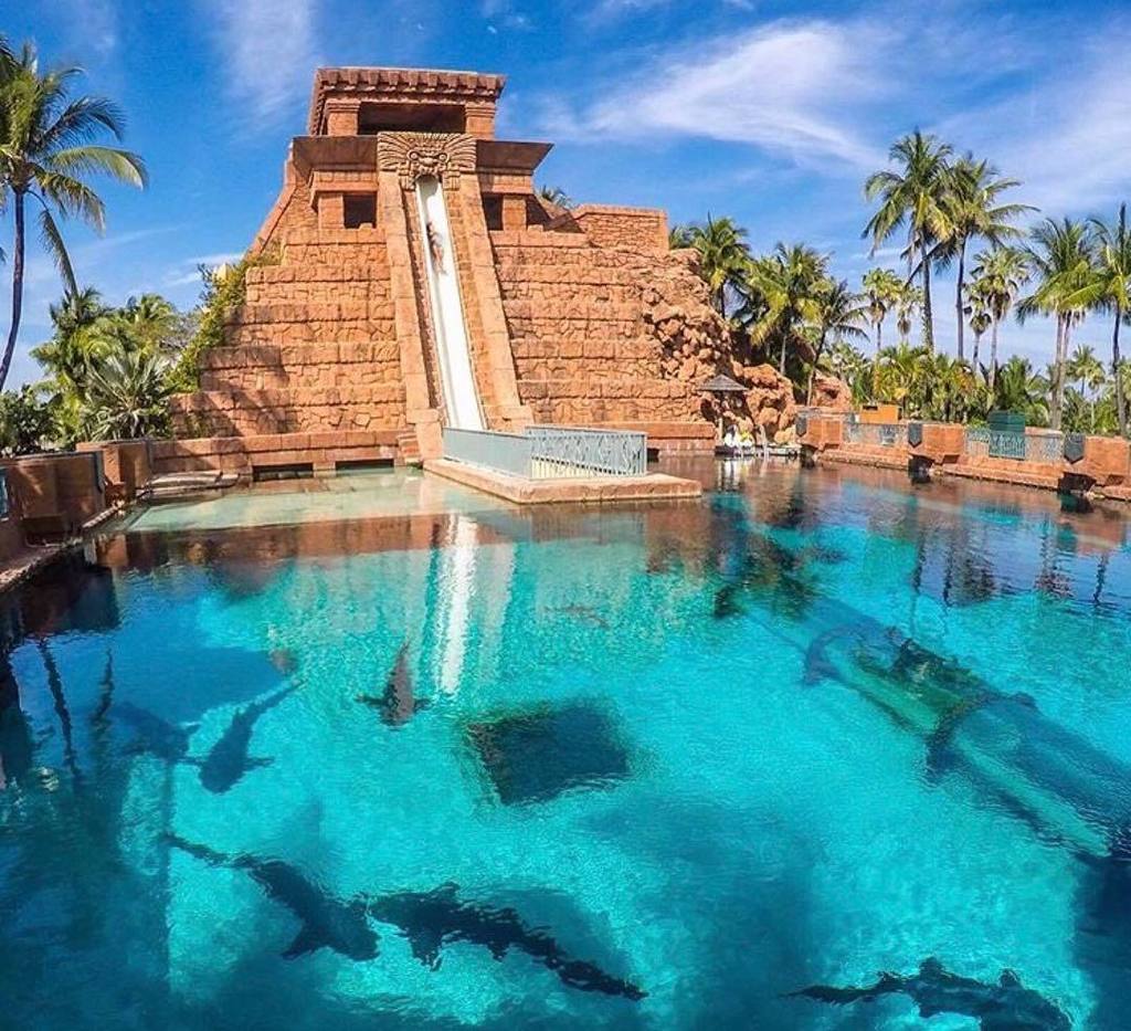 cityslickerblog's tweet photo. Sliding into 2017 like 😜#TheCitySlickerBlog #CatchMeIfYouCan #Atlantis #Bahamas #BlogVoyage https://t.co/Dl1qDOUgwL https://t.co/52Mjvf7Fel