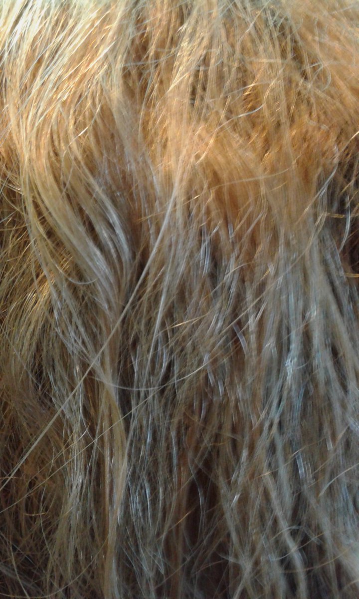 yesenia_case's tweet photo. Tired of seeing your hair disheveled and lifeless you want to become a model https://t.co/heAxZIIZSE