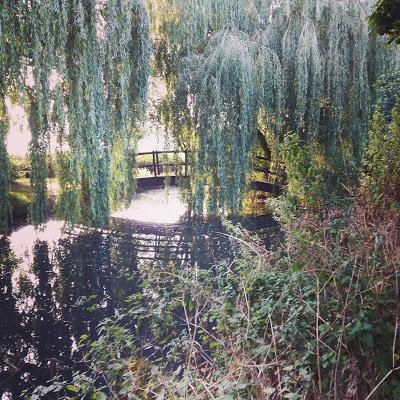 Blogger_Rachael (@bloggerrachael) on Twitter photo Let's talk about moving to #university bloggerrachael.blogspot.co.uk/2017/01/lets-t… ✨<a href="/wetweetblogs/">We Tweet Blogs</a> <a href="/FabBloggersRT/">Fab Bloggers Community</a> #BloggersBlast <a href="/blogrtWORLD/">Blog Retweet</a> <a href="/UKBloggers1/">UK Bloggers</a> Let's talk about moving to #university bloggerrachael.blogspot.co.uk/2017/01/lets-t… ✨<a href="/wetweetblogs/">We Tweet Blogs</a> <a href="/FabBloggersRT/">Fab Bloggers Community</a> #BloggersBlast <a href="/blogrtWORLD/">Blog Retweet</a> <a href="/UKBloggers1/">UK Bloggers</a>