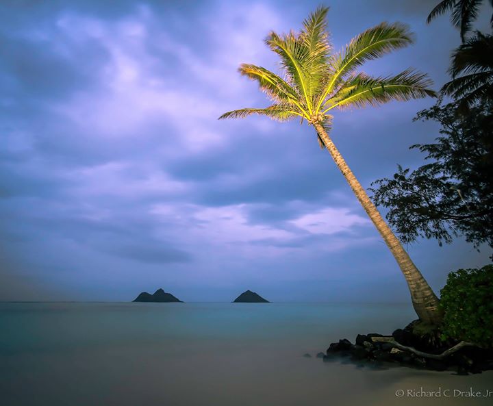 Traderjoe's tweet image. Barter one week 3/2 house in Kailua what do you have? Value is around 4k for 4 people!