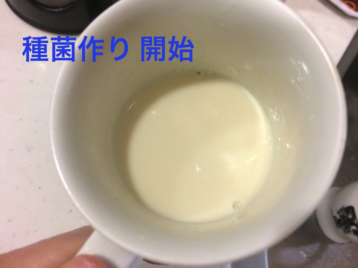 Lady Iga Acupuncturist レディーイガ 鍼灸師 やった 発酵成功 自家製豆乳ヨーグルトの種菌 完成したー O O 発酵しにくい冬場のtggヨーグルト種菌作りのコツは 出来るだけ温かい環境で熟成 ガラス瓶ではなく陶器の容器使用 焦ら Lady Iga Acupuncturist レディーイガ 鍼灸師 やった 発酵成功 自家製豆乳ヨーグルトの種菌 完成したー O O 発酵しにくい冬場のtggヨーグルト種菌作りのコツは 出来るだけ温かい環境で熟成 ガラス瓶ではなく陶器の容器使用 焦ら