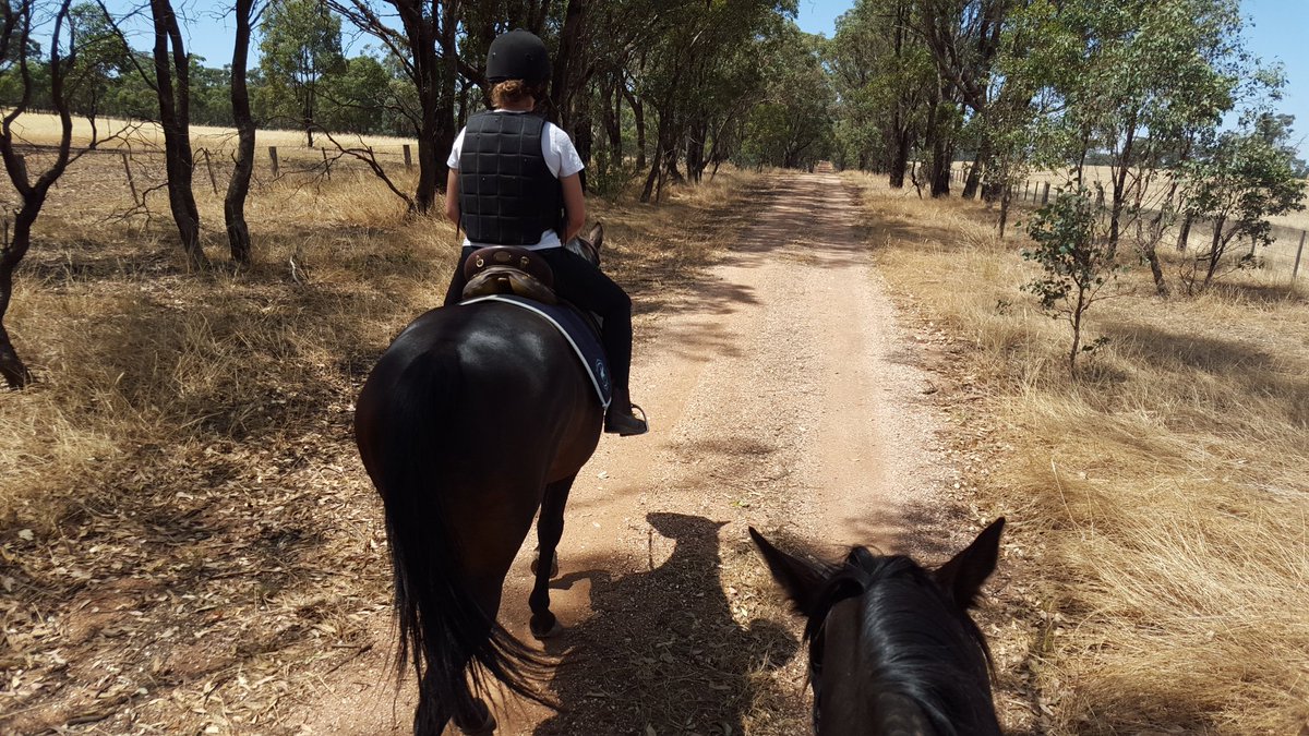 HRVHERO's tweet photo. Where you you rather be? #villagem #kyvaĺleymac #learnerrider #superstar @HRVnews https://t.co/hPAlORwGCM