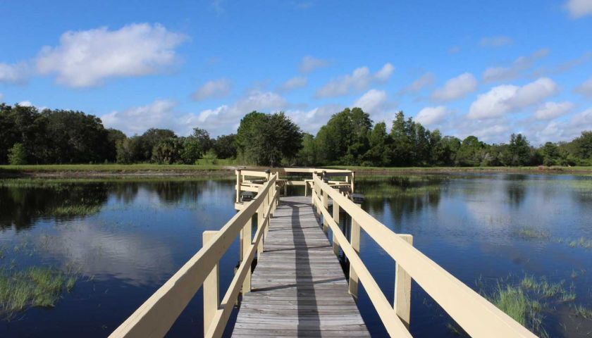 CampingRoadTrip's tweet photo. Explore here or head to Disney while #RVing at Kissimmee South #RVResort! https://t.co/6bDiidQ67j #Florida https://t.co/8D0A7Qku0y