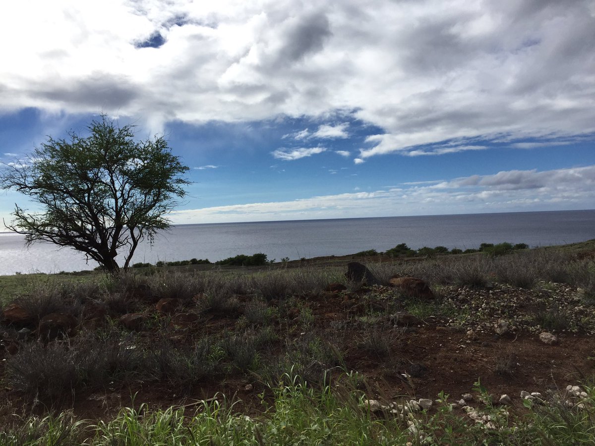 LaraMangravite's tweet photo. Beautiful place. Fantastic talks. Thrilled to be at #psb17.  Thanks for the invite @jessiet1023 @prpayne5 https://t.co/cC4TTj6Z9g