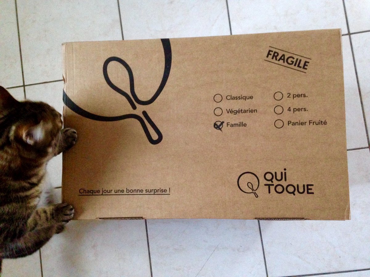 Fridadb's tweet photo. Livraison QuiToque, quand ton chat vérifie que tout est confirme #sampleoquitoque https://t.co/6HJffGg0Y2