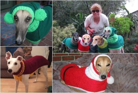PerroContento's tweet image. Mujer inspira ayuda a #perros de la calle al tejerles suéteres y gorros &amp;gt;&amp;gt; buff.ly/2iWDN86