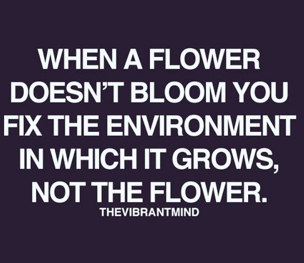 Love what this subtly says about school culture...