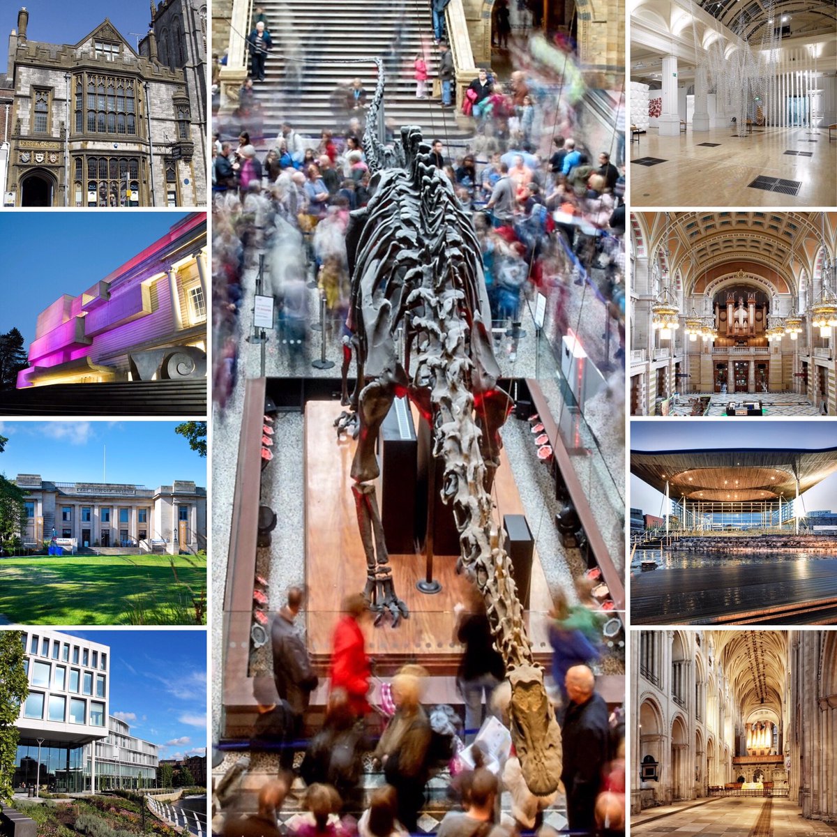 Natural History Museum tweet media
