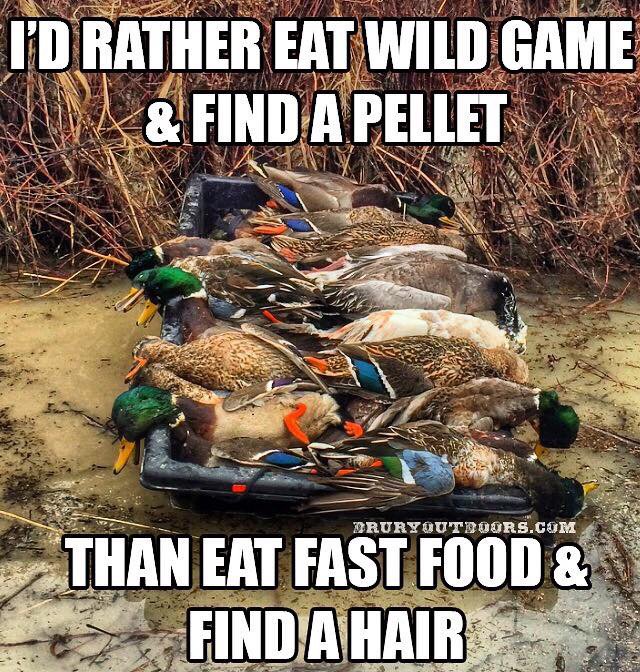 bowduckin's tweet photo. https://t.co/7dWwbj7Q6L