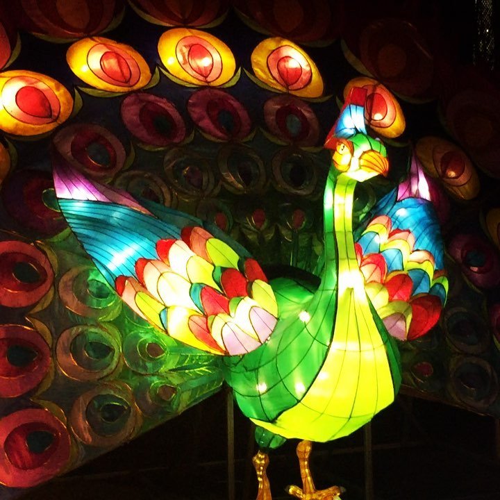 Love the scene narration by @kdan1231 . "Peacock and buuurds" wish I could give you up -Ar… ift.tt/2j6Tx8u