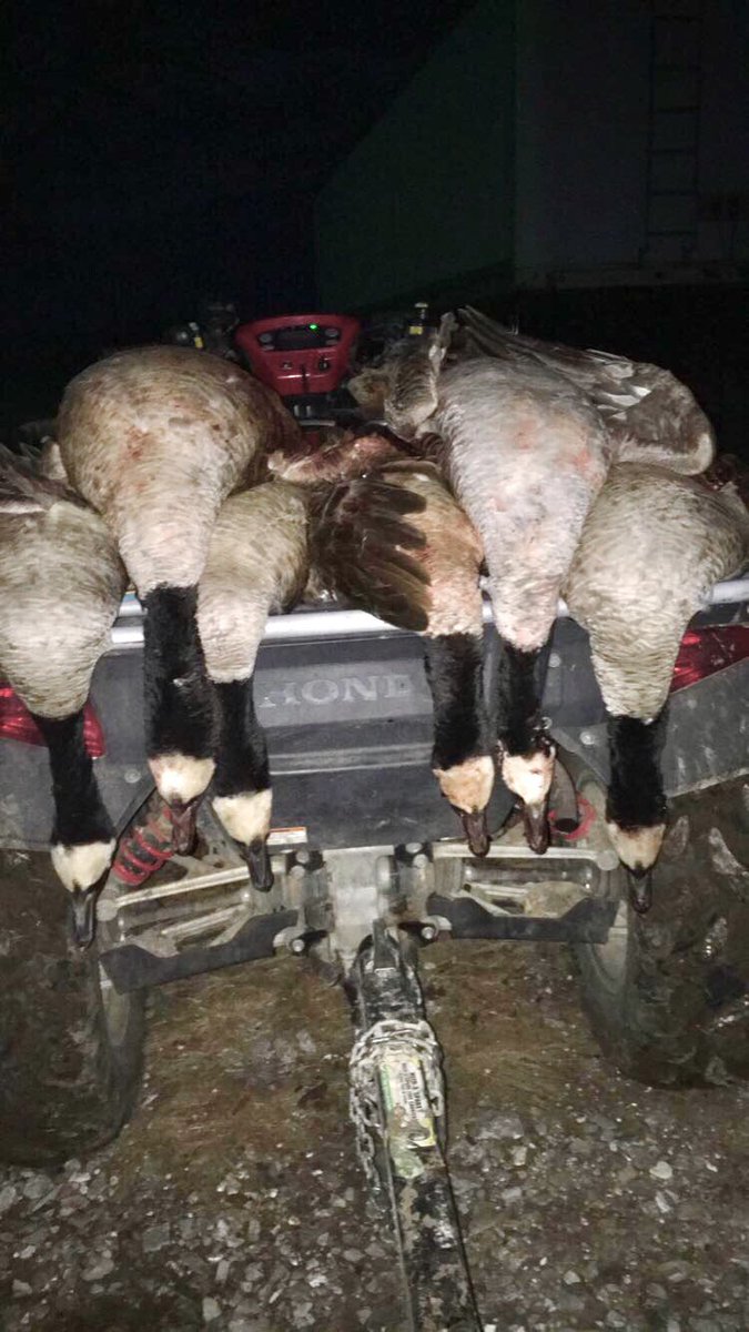 MFowlers's tweet photo. Finished the evening off right with a nice 2 man! https://t.co/X838JYm1FY