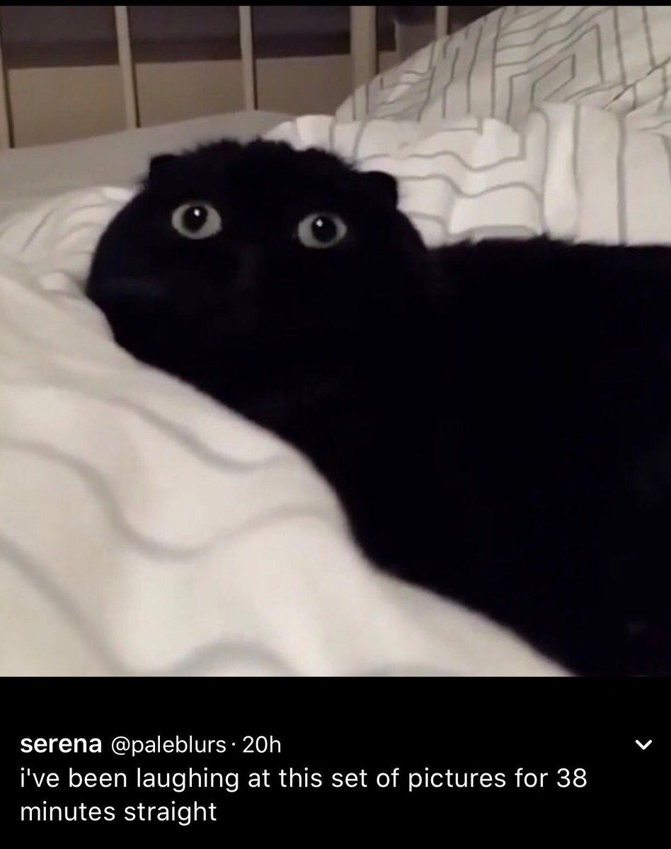 ComedyPosts's tweet photo. I LOVE THIS SET OF PICTURES 😭😭 https://t.co/cZINqbJps4