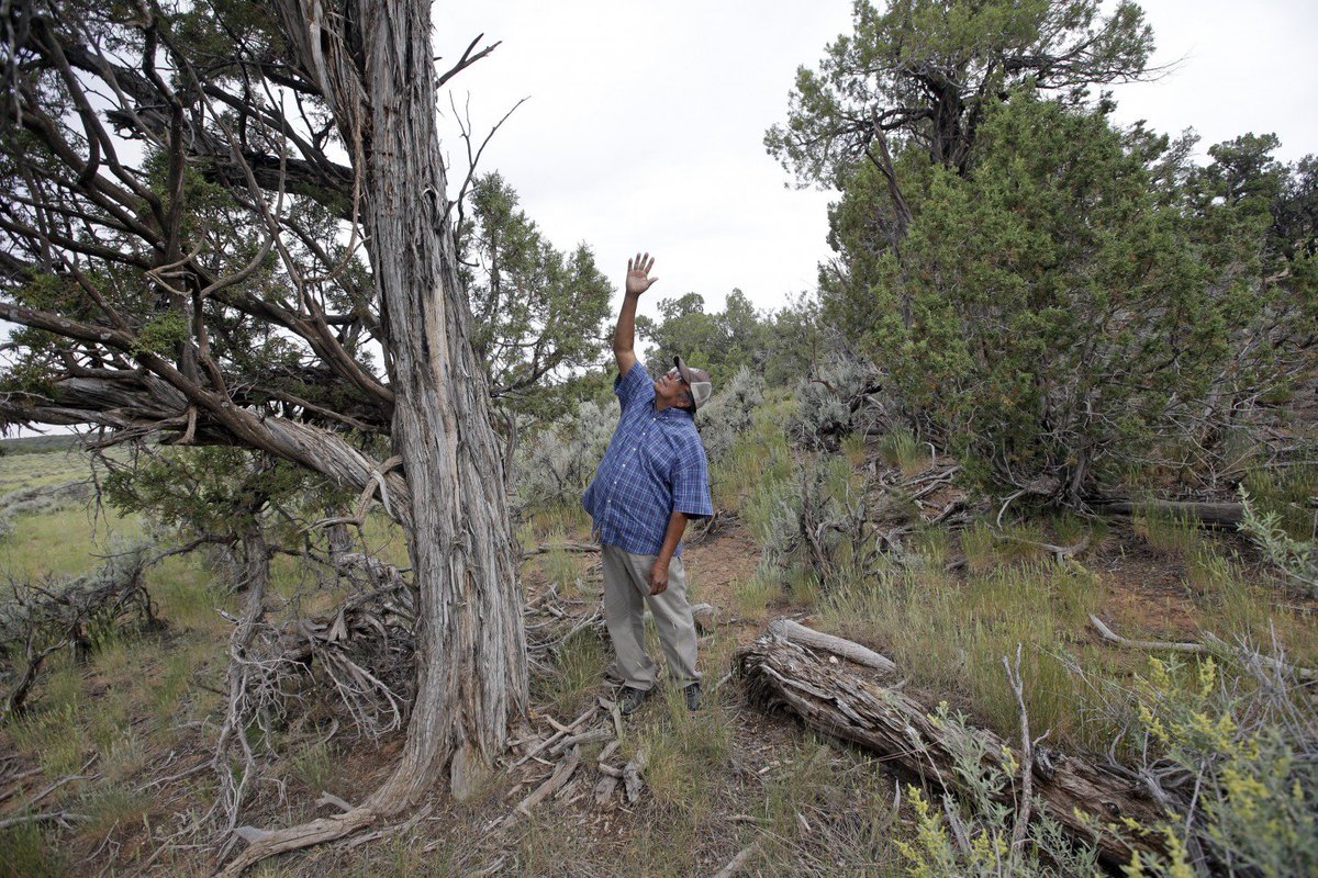 Backcountry_H_A's tweet photo. House GOP rules change will make it easier to sell off federal land. @washingtonpost  #keepitpublic

https://t.co/2SrkKxmorc https://t.co/PxyqFgKt0A