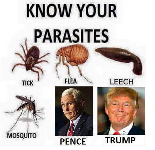 BlueTeam007's tweet photo. Yuck! https://t.co/MFkHGzYmMZ
