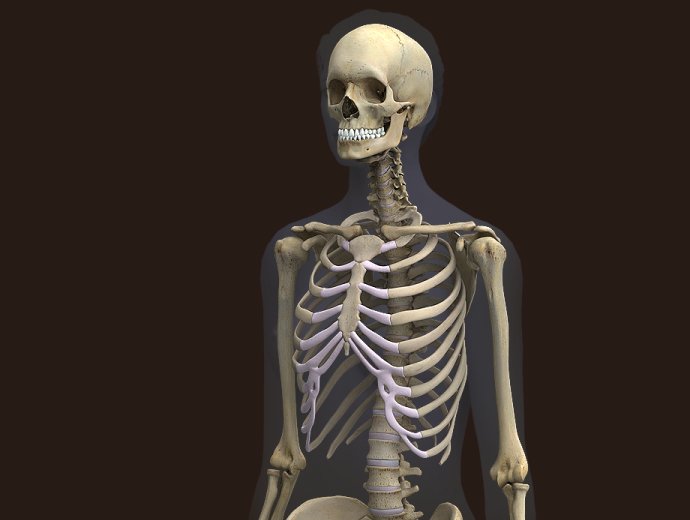 JsouthRoc's tweet photo. 😂😁This, Is what You really look like on the inside! So, don't be ashamed of what You look like on the outside! 😒✌! https://t.co/eK3uFhWpds